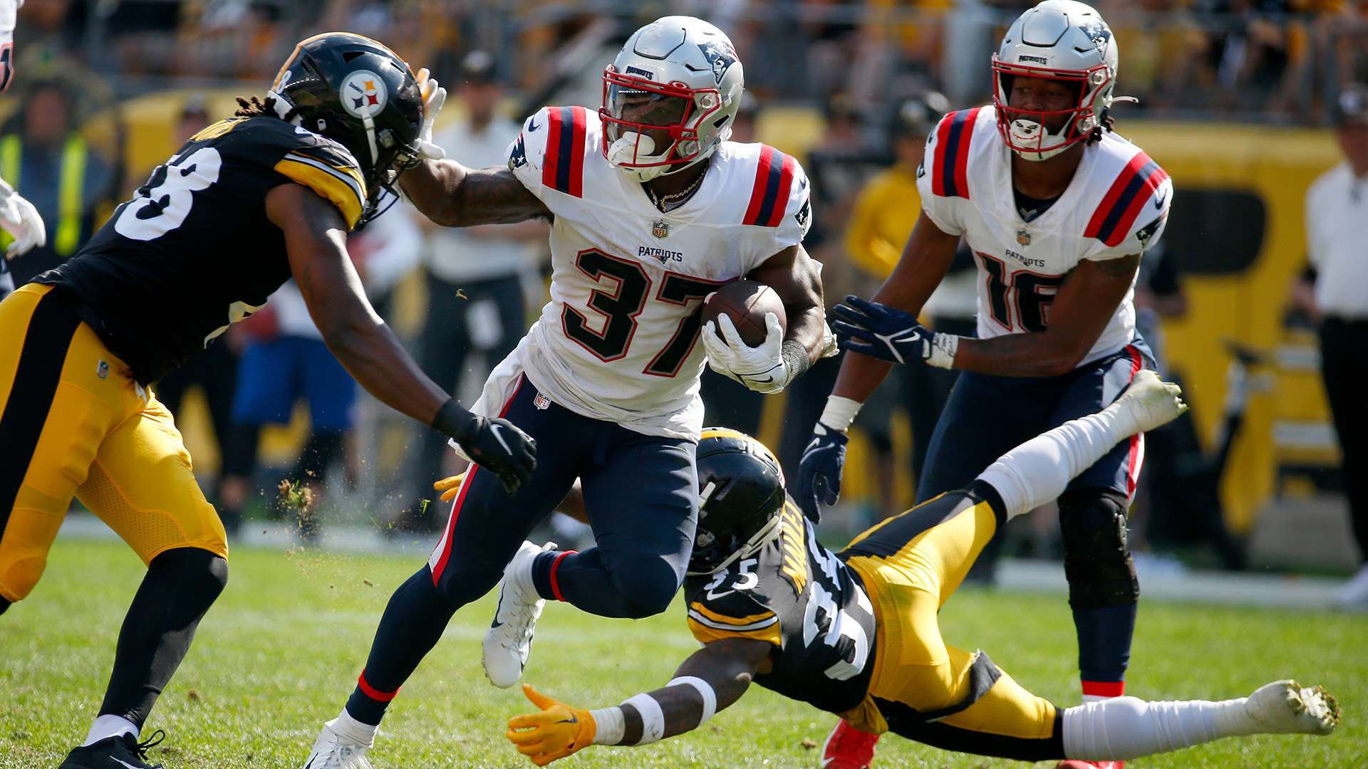 将讨论球迷 将讨论球迷